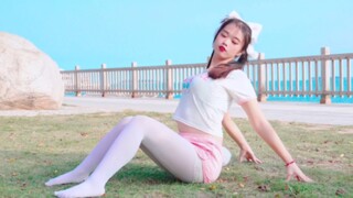 猫猫永动机！万粉福利♡超级纯欲的兔猫你见过咩？