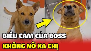 Biểu cảm KHÔNG NỠ XA khi nghe tin chị sắp làm đi NHIỀU NGÀY 😍 | Yêu Lu