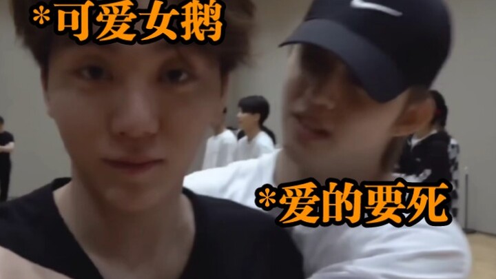 Choi Seung-cheol đích thị là “nô lệ của Nữ Ngỗng”!