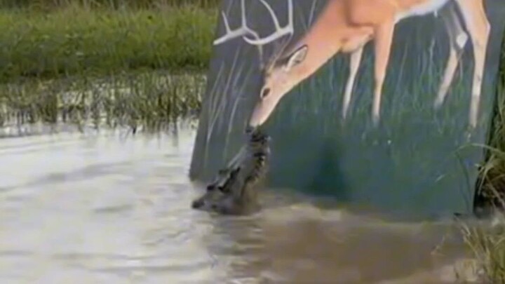 Kalau Lapar, Pasti Hilaf 🤣