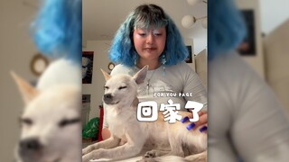 你愿意把自己离世的宠物做成标本放在家里吗⁉️