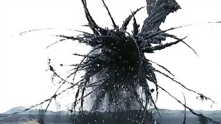 女人突然惊恐的发现，密密麻麻的刀鱼正以惊人的速度朝她席卷而来