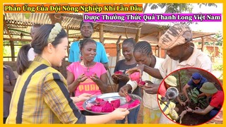 Phản Ứng Của Đội Nông Nghiệp Khi Lần Đầu Tiên Được Thưởng Thức Quả Thanh Long Việt Nam ?