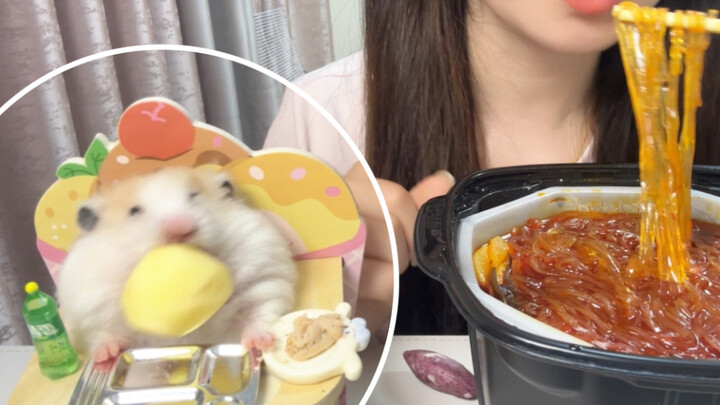 Quán ăn Chuột Chuột mở cửa phục vụ rồi!