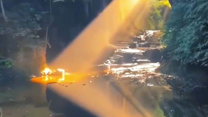 "A little bit cultured, but not much"