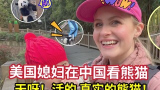 美国媳妇在成都第一次看到熊猫，激动到忘记呼吸！