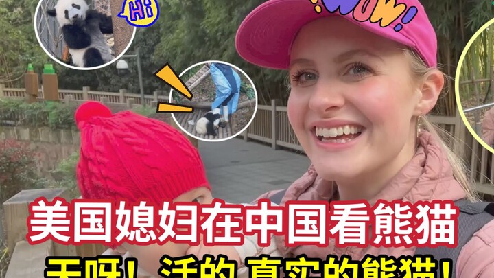 美国媳妇在成都第一次看到熊猫，激动到忘记呼吸！