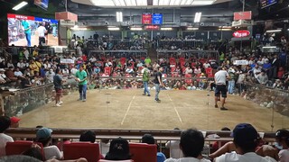 2nd Fight Win. WHITE (July 15. SMC 3-Stag Derby Early Bird Edition)