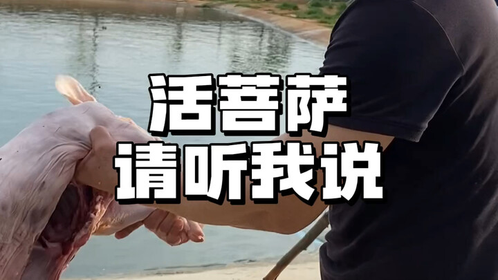 Kamu bilang aku harus memberi makan buaya dengan apa? #ikat pinggang kulit buaya #sepatu kulit buaya