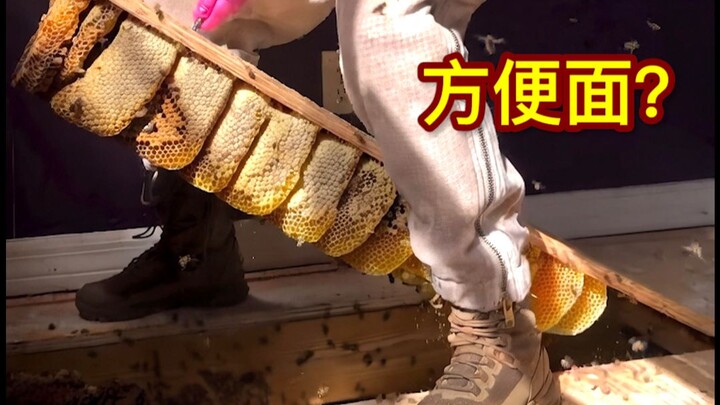 A huge stash of honey hidden under the floor—what a bountiful harvest! 🐝