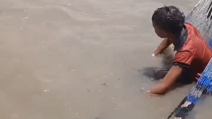 Criança tenta relaxar com sua rede improvisada na água e um crocodilo lhe encomenda.