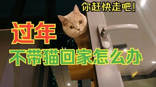 各种原因，没法带猫回家怎么办？