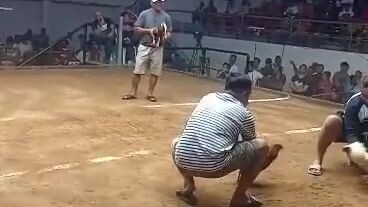 2nd fyt White Sentinel in Action ( 2 hits champion @ Coliseo de Manila