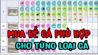 Play Together | Hướng Dẫn Chọn Bể Cá Phù Hợp Với Từng Loại Cá ,Tránh Mua Nhầm Phí Tiền