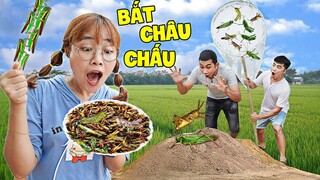 Hà Sam Ra Đồng Vợt Châu Chấu Chiên Giòn Cực Ngon - Đồ Ăn Vặt Tuổi Thơ Ở Nông Thôn