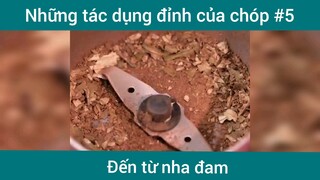 Những tác dụng đỉnh của nha đam p5