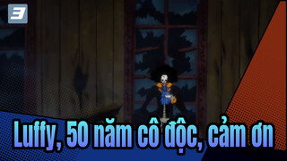 Luffy, 50 năm cô độc, cảm ơn-3