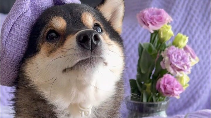 Pengalaman imersif menjalani satu hari sebagai bintang wanita