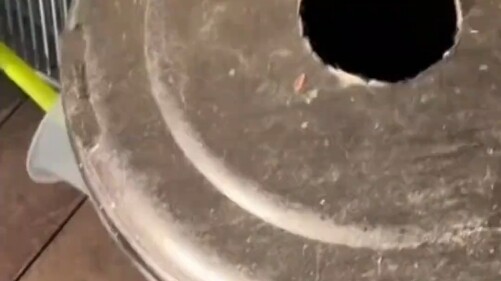 Mimi: Aku lihat ada apa nih