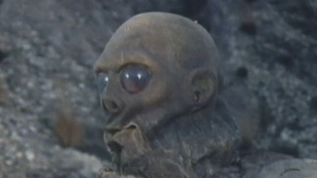 Doctor Who - Death to the Daleks (3)