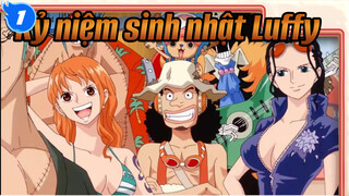 Kỷ niệm sinh nhật Luffy_1