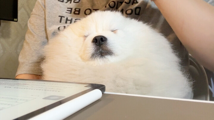 ليت الريح المعاكسة تفهم مشاعري ولا تُدمّرني بسهولة.