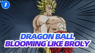 DRAGON BALL|【MAD】Blooming like Broly_1