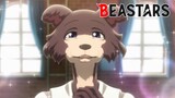 BEASTARS Just Juno Moments | Best of Juno