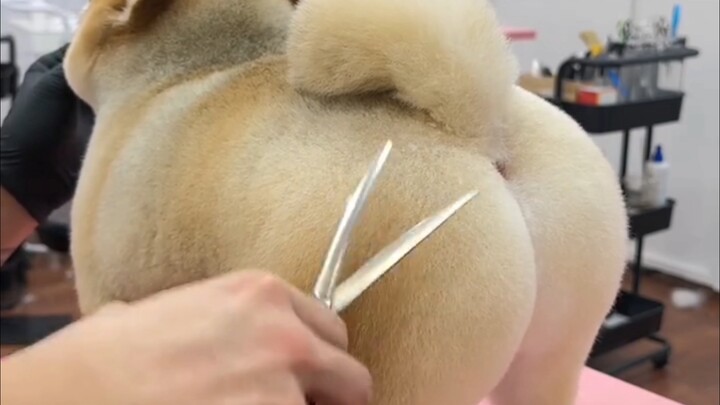 Bokongnya mulus banget!