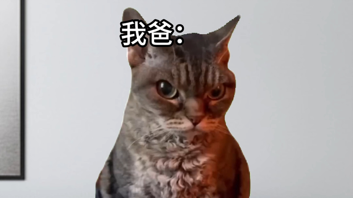 当我爸看电视睡着时