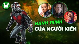 HÀNH TRÌNH CỦA NGƯỜI KIẾN TRONG MCU (3 Phần)