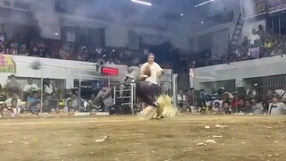 WIN FIGHT 5STAG DERBY NEWGENTRI BATANG MANDALUYONG