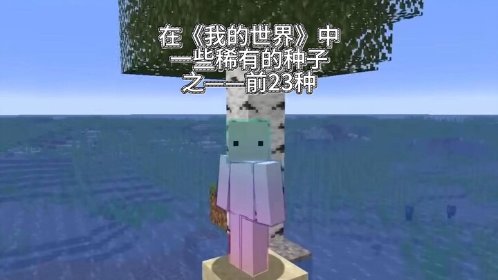 Some Rare Seeds in Minecraft — Top 23