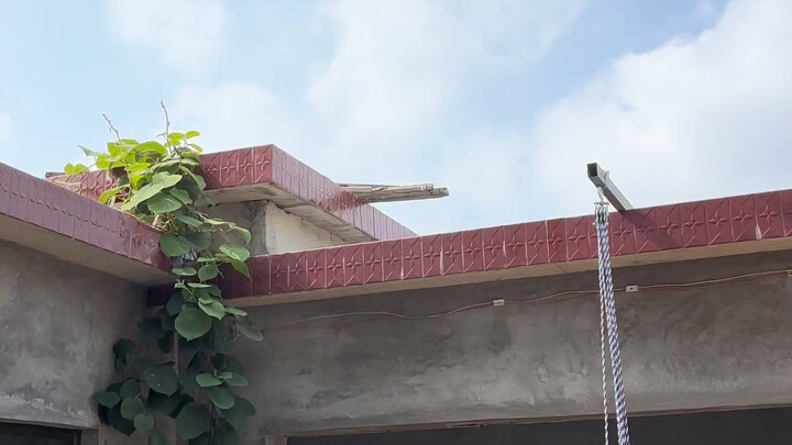 #หลังวันพรุ่งนี้ #หลังวันพรุ่งนี้เขตห้ามเข้าหัวใจเต้นแรง