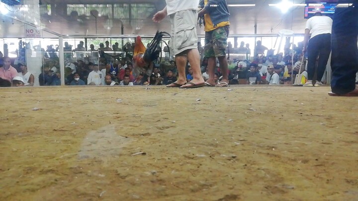 Grey winner. Wasak ang katawan ng kalaban.