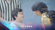 The Seed Of Love: (Last 2 Week Week 15)