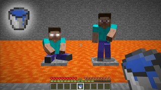 I saved Herobrine and Steve...