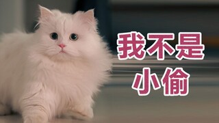 对视的两个人，如果眼神一起躲避，那就是……