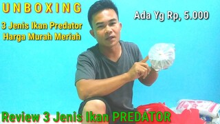 Unboxing / Review Ikan Predator Baru Murah Meriah