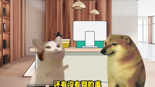 cheems 纪律委员