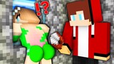 What JJ want to DO with this GIRL in Minecraft?