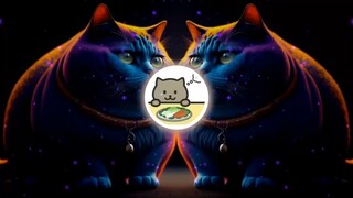 DJ FAT CAT SLOW REMIX RUO YUE LIANG HAI MEI LAI