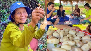 ขุดมันแซงหัวเท่ากำปั้น!! นึ่งเหนียวหนึบ นั่งกินบนเถียงนาต้อนรับลมหนาว