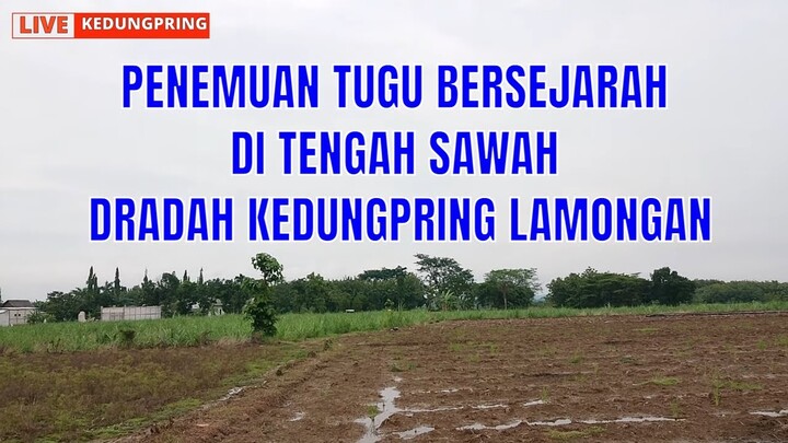 PENEMUAN TUGU BERSEJARAH DI DRADAH KEDUNGPRING LAMONGAN (TUGU TRIANGULASI S - 699)