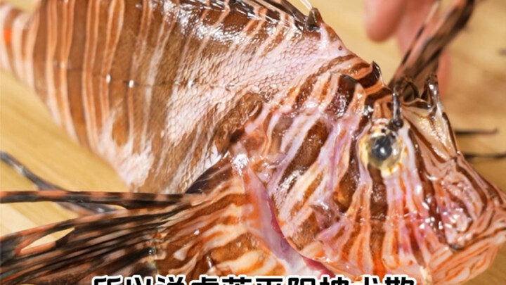 Bỏ ra 30 tệ nhặt được một chú cá cảnh giá tới 1.500 tệ, đó là chú cá sư tử râu dài cực kỳ đẹp! Tên k