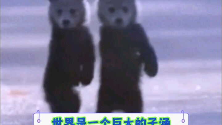 世界是一个巨大的子涵