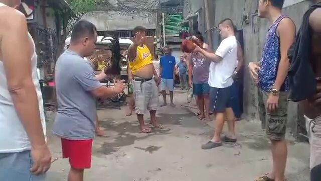 my perry harch vs rooster with double banded of wpc ( white shirt ) mine