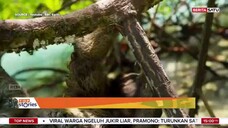 Top Stories BeritaSatu TV - 25 Juli 2025
