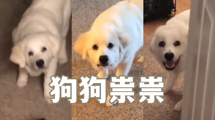 Dog: Time’s up—let the hunt begin!