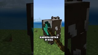 Mob Yang Paling ANEH Di Minecraft